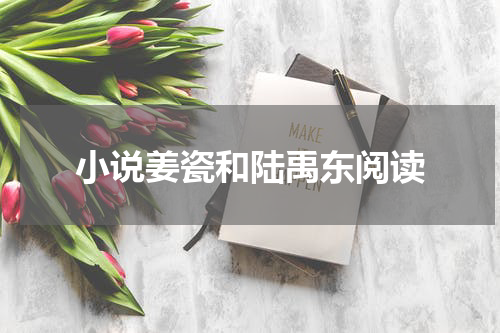 小说姜瓷和陆禹东阅读