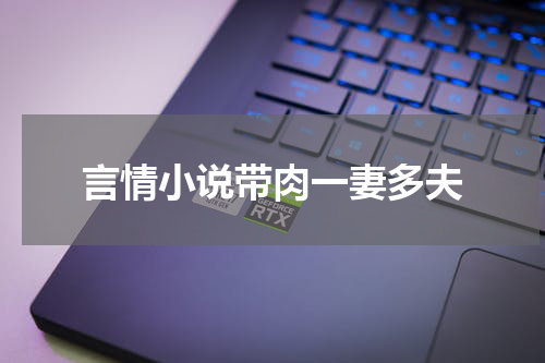 言情小说带肉一妻多夫