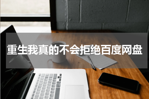 重生我真的不会拒绝百度网盘