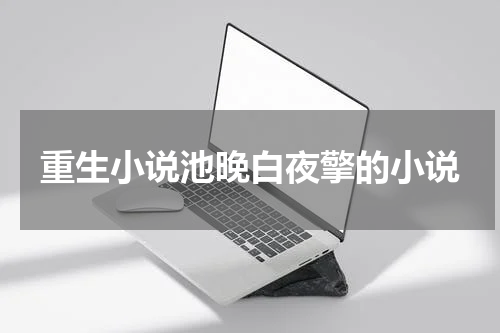 重生小说池晚白夜擎的小说