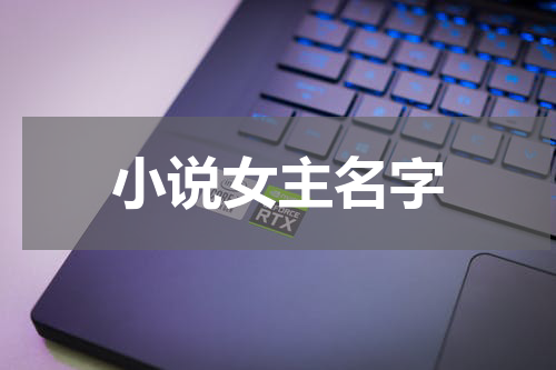 小说女主名字