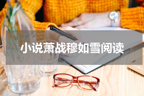 小说萧战穆如雪阅读