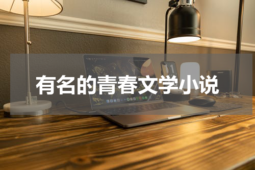 有名的青春文学小说