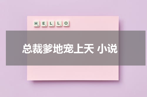 总裁爹地宠上天 小说
