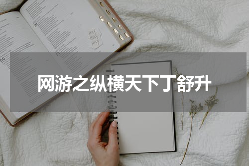 网游之纵横天下丁舒升