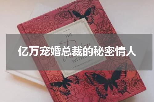 亿万宠婚总裁的秘密情人