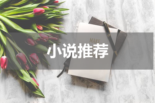 小说推荐