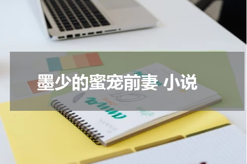墨少的蜜宠前妻 小说