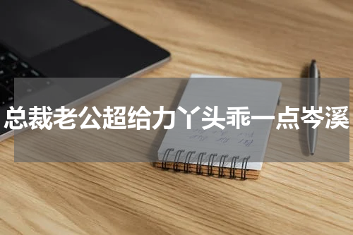 总裁老公超给力丫头乖一点岑溪