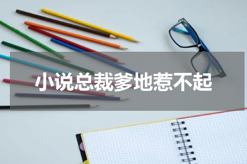 小说总裁爹地惹不起