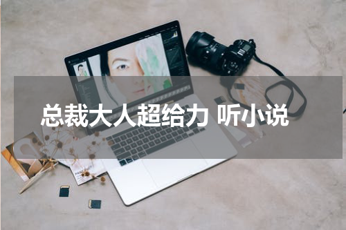 总裁大人超给力 听小说