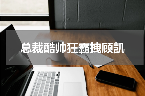 总裁酷帅狂霸拽顾凯