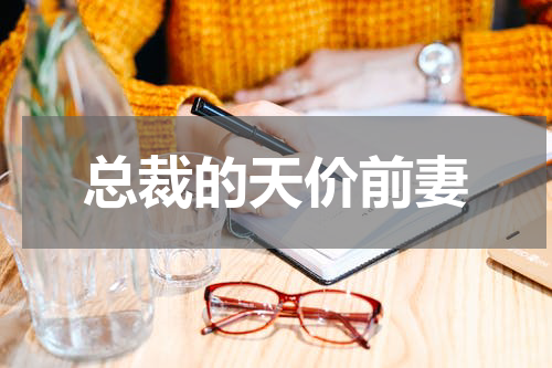 总裁的天价前妻