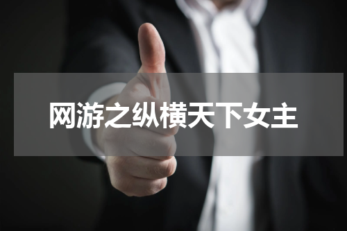 网游之纵横天下女主