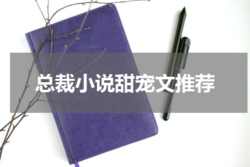 总裁小说甜宠文推荐