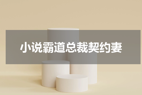 小说霸道总裁契约妻