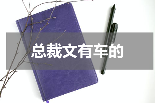 总裁文有车的