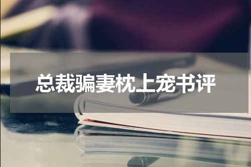 总裁骗妻枕上宠书评