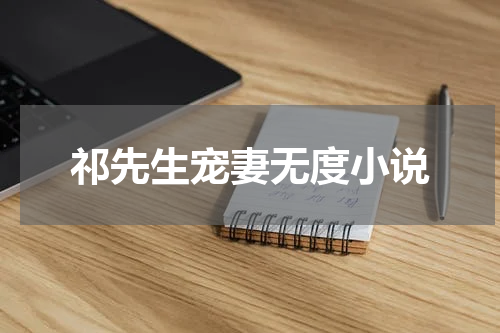 祁先生宠妻无度小说