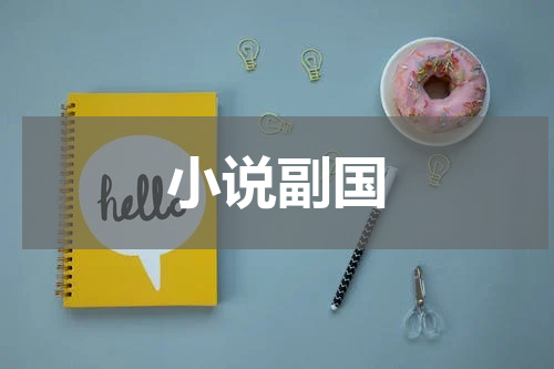小说副国