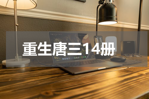 重生唐三14册