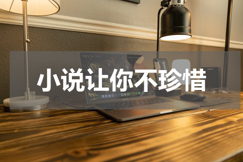 小说让你不珍惜