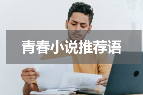 青春小说推荐语