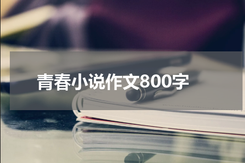青春小说作文800字
