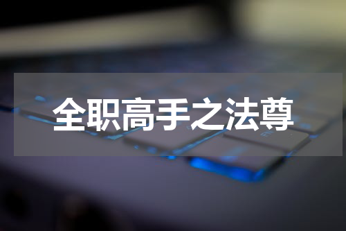 全职高手之法尊