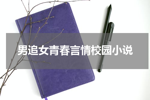 男追女青春言情校园小说