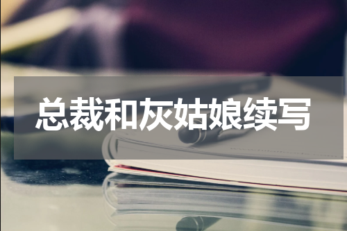 总裁和灰姑娘续写