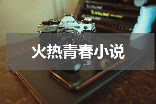 火热青春小说