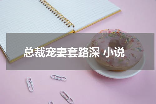 总裁宠妻套路深 小说