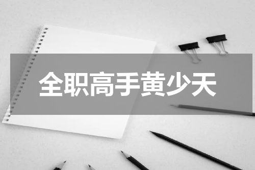 全职高手黄少天