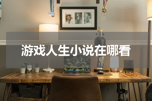 游戏人生小说在哪看