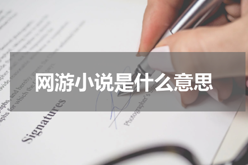 网游小说是什么意思