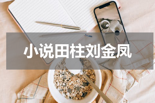 小说田柱刘金凤