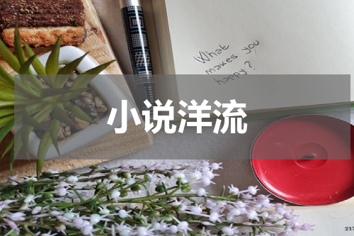 小说洋流