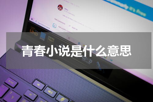 青春小说是什么意思