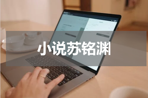 小说苏铭渊