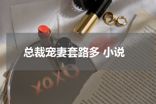 总裁宠妻套路多 小说