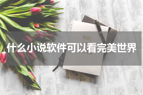 什么小说软件可以看完美世界
