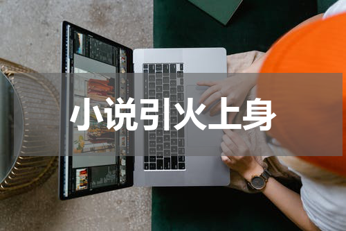 小说引火上身