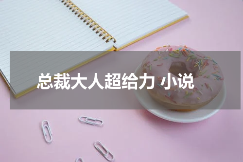 总裁大人超给力 小说