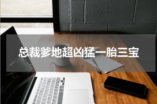 总裁爹地超凶猛一胎三宝