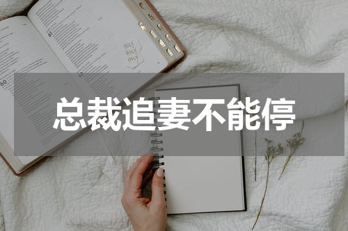 总裁追妻不能停