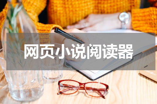 网页小说阅读器