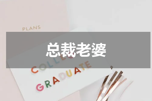 总裁老婆