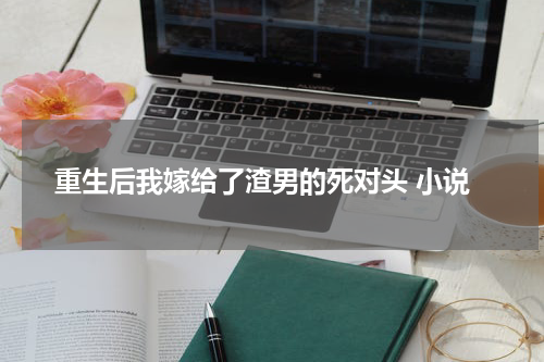重生后我嫁给了渣男的死对头 小说