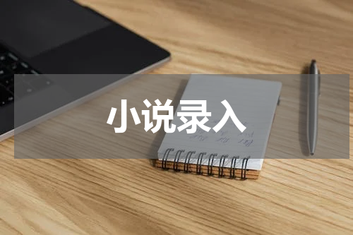小说录入
